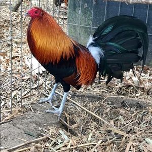 Meet your Posher, Jose